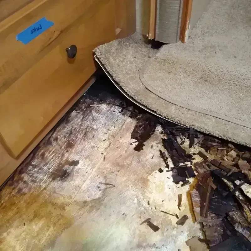 Wood Floor Water Damage in Sylvan Lake, MI